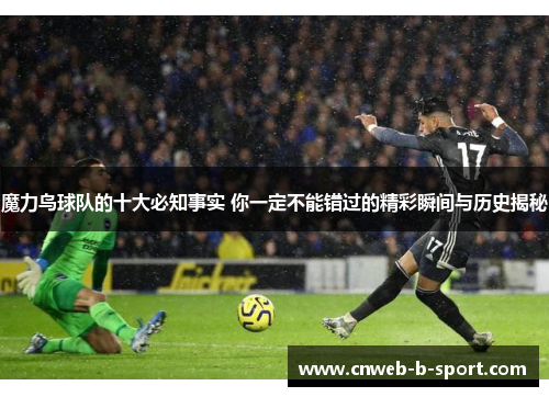 魔力鸟球队的十大必知事实 你一定不能错过的精彩瞬间与历史揭秘