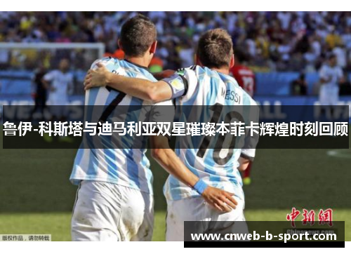 鲁伊-科斯塔与迪马利亚双星璀璨本菲卡辉煌时刻回顾
